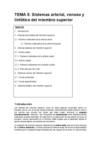 5 Vascularizacion Pdf