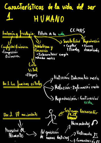 1 Organizacion General Del Cuerpo Humano Pdf