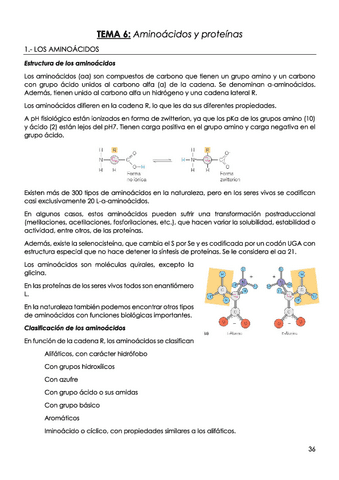 Tema Aminoacidos Y Proteinas Pdf