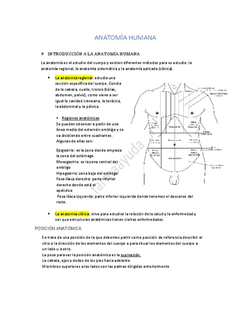 Introduccion A La Anatomia Humana Pdf