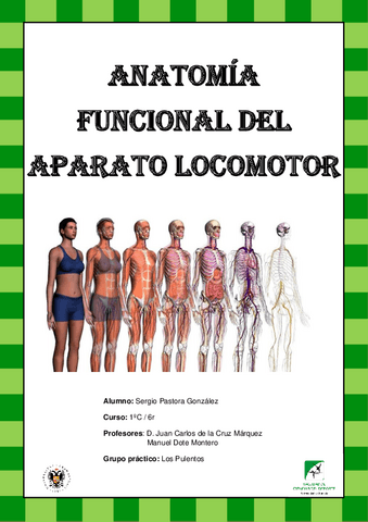 Dossier Anatomia Nota Pdf