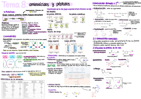 O Parcial Bioquimica Apuntes Pdf