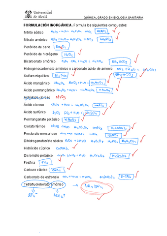 Ejercicios Formulacion Y Nomenclatura Inorganica Pdf