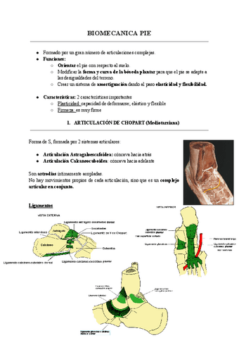 Biomecanica Pie Pdf