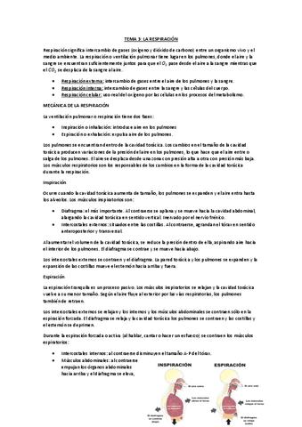 Fisiologia T T Pdf