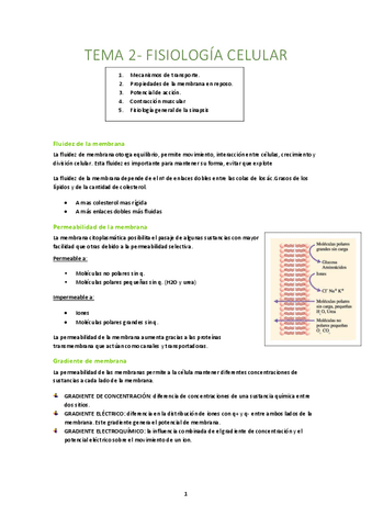 Tema Fisiologia Celular Pdf