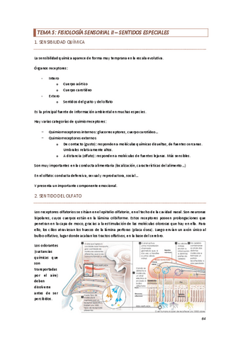 Tema Fisiologia Sensorial Ii Pdf