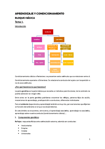 Aprendizaje Y Condicionamiento Apuntes Completos Pdf