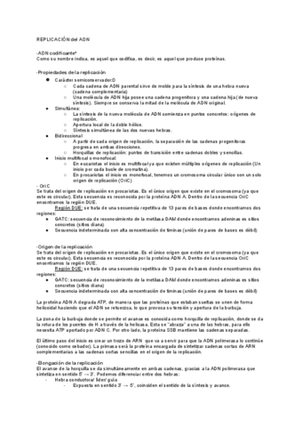 Preguntas Examen Resueltas Pdf