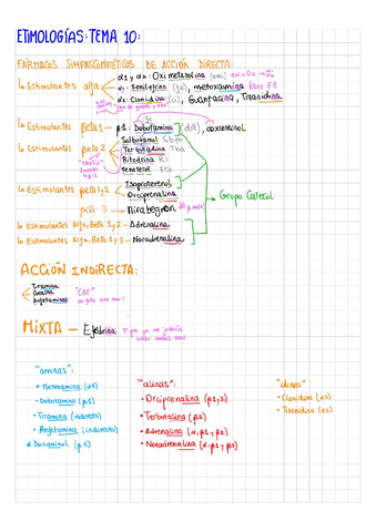 Reglas Mnemotecnicas Tema Farma Pdf