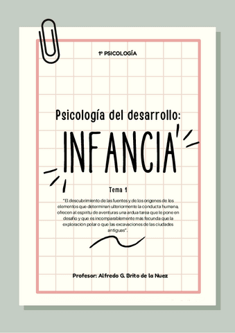 Tema Psicologia Del Desarrollo Infancia Pdf