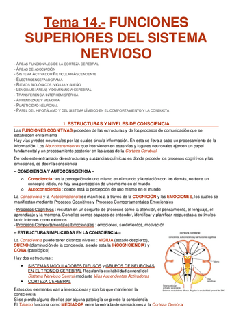 Apuntes De Derecho Mercantil Ii Contratos Y T Tulos Valores