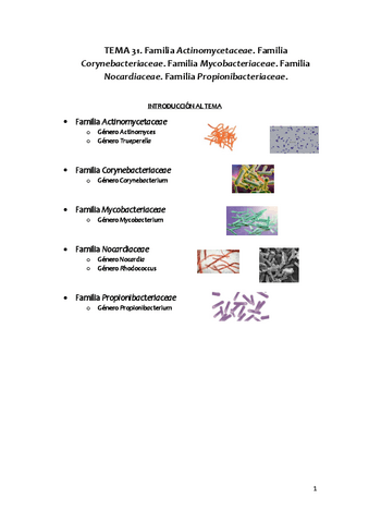 APUNTES MICROBIOLOGIA 2o Parcial Pdf