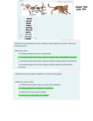 Examen Anatomia I Pdf