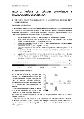 TEMA 2 ANATOMIA Pdf