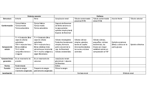 Cuadro Para Practicas De Histolog A Pdf