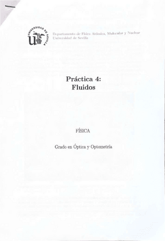 MEMORIA PRACTICA 4 FLUIDOS Pdf