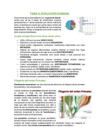 Tema Psicobiologia Pdf