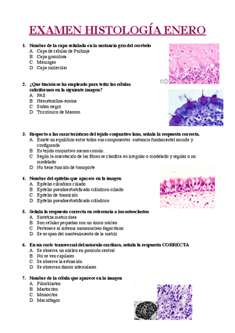 Recopilacion Examenes Histologia Pdf