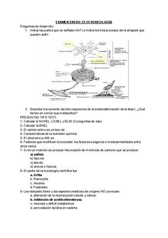 Examen Toxicologia Otros Ex Menes Pdf