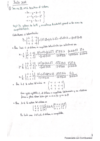 EXAMEN JULIO 2019 Pdf