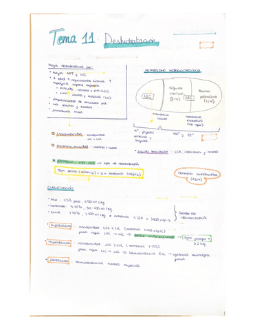 Resumen Esquematizado Segundo Parcial Pdf