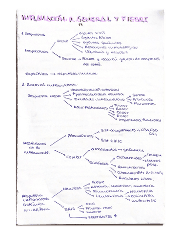 Resumenes Toda La Asignatura Pdf