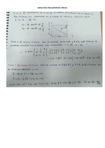 Ejercicios Obligatorios Tema Pdf