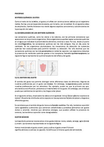 Sentidos Quimicos Gusto Y Olfato Pdf