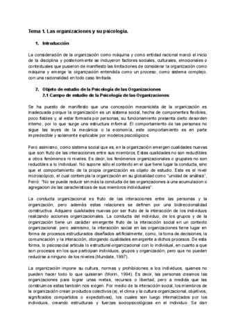 Apuntes T Organizaciones Libro Nuevo Pdf