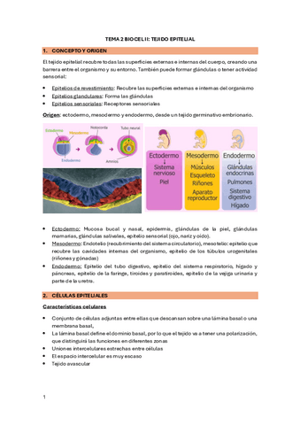 Tema Biocel Ii Tejido Epitelial Pdf