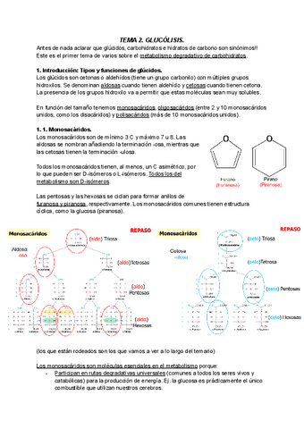 TEMA 2 BIOQUIMICA II Pdf