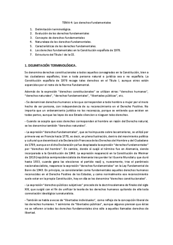 Constitucion T4 Pdf