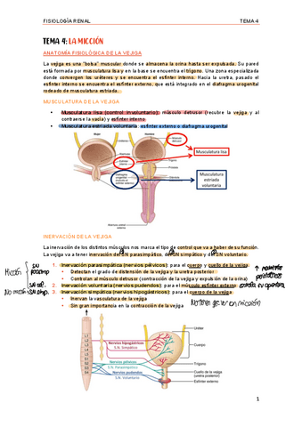 Tema La Miccion Pdf