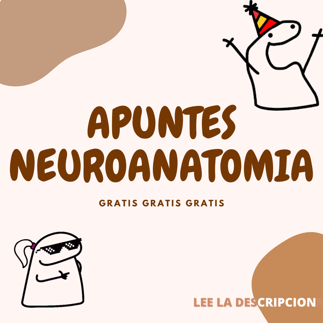 TODO DISPONIBLE Y DE ESPLACNOLOGIA TAMBIEN