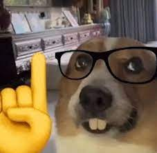 PER TOT DEUS A 2n DE BAT. AQUÍ AL MEU PERFIL!!!