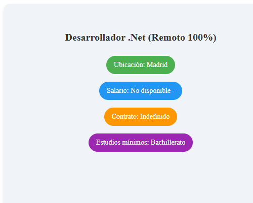 Desarrollador .Net (Remoto  100%)