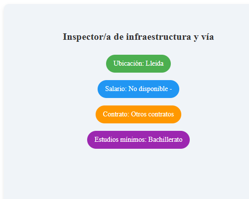 Inspector/a de infraestructura y vía