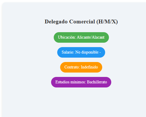 Delegado Comercial (H/M/X)