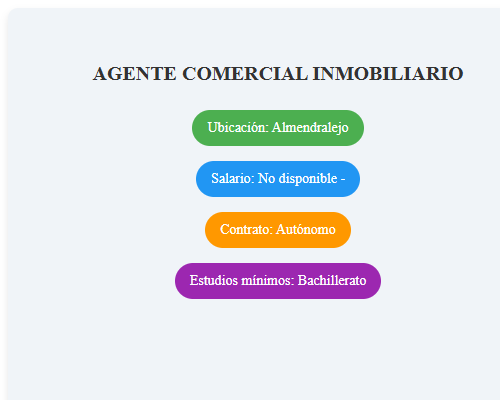 AGENTE COMERCIAL INMOBILIARIO
