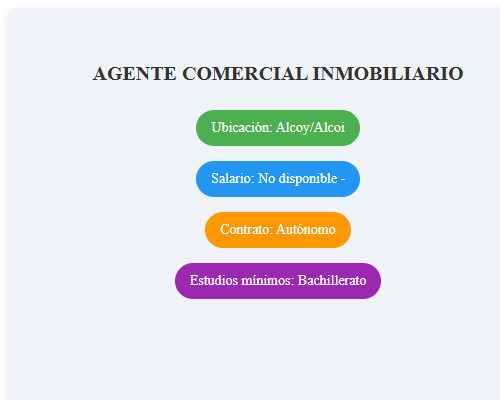 AGENTE COMERCIAL INMOBILIARIO