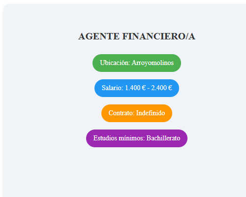 AGENTE FINANCIERO/A