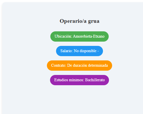 Operario/a grua