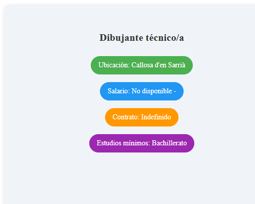 Dibujante técnico/a