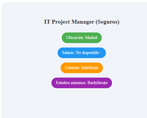 IT Project Manager (Seguros)