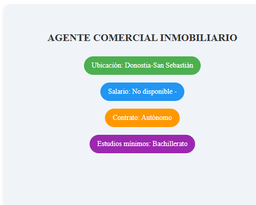 AGENTE COMERCIAL INMOBILIARIO