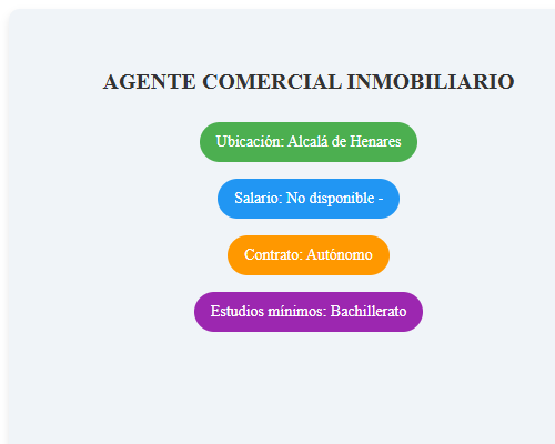 AGENTE COMERCIAL INMOBILIARIO