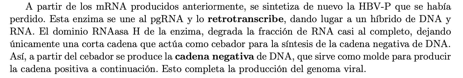 en el tema 17 de los apuntes de microbiología, en los hepadnaviridae, hay un error. Hay un paso adicional innecesario en la replicación del material genético. En mis apuntes se hace ver que el híbrido de DNA/RNA sirve para sintetizar la cadena de DNA-, no obstante, el híbrido ya está formado por una cadena de DNA-, de forma que en realidad sirve para sintetizar la hebra de DNA+, ahorrando un paso. Perdón :')