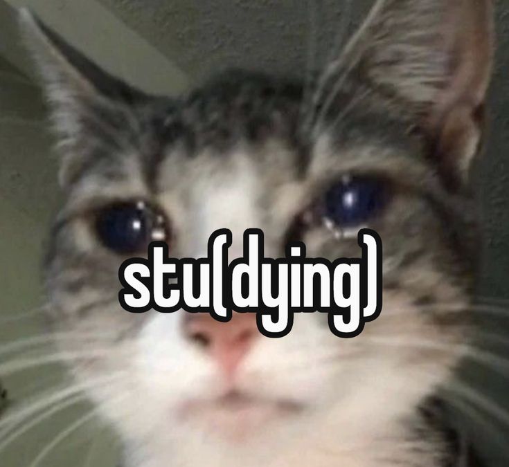 Temario completo de Civil III