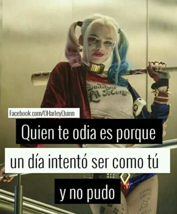 FRASE MOTIVADORA DEL DÍA